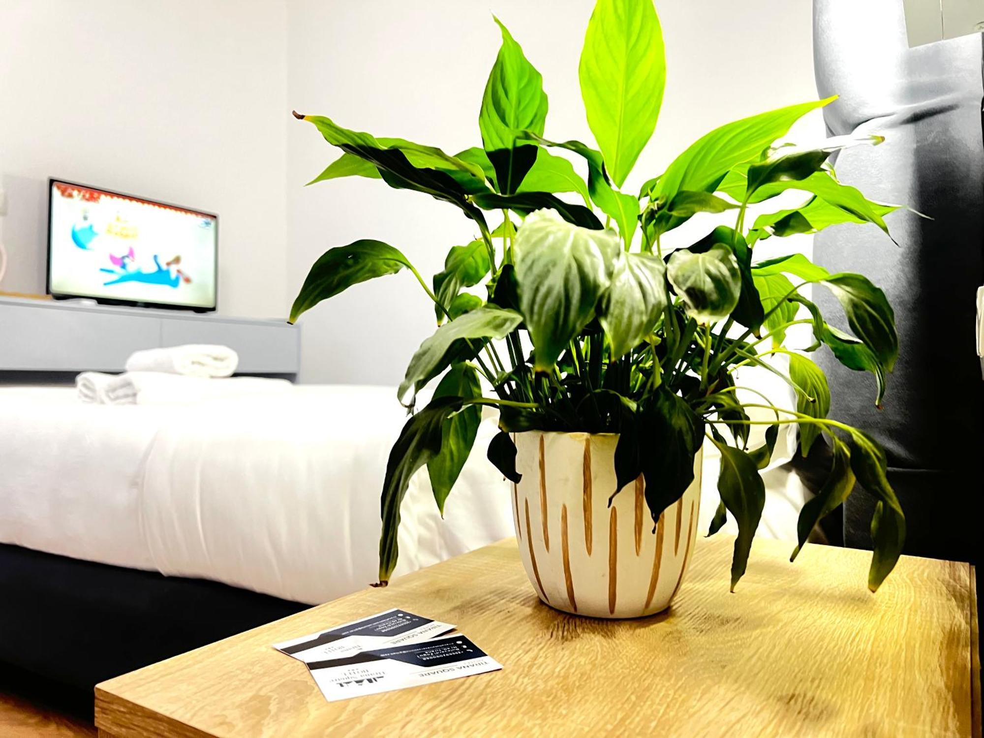 Tirana Square Hotel Екстер'єр фото
